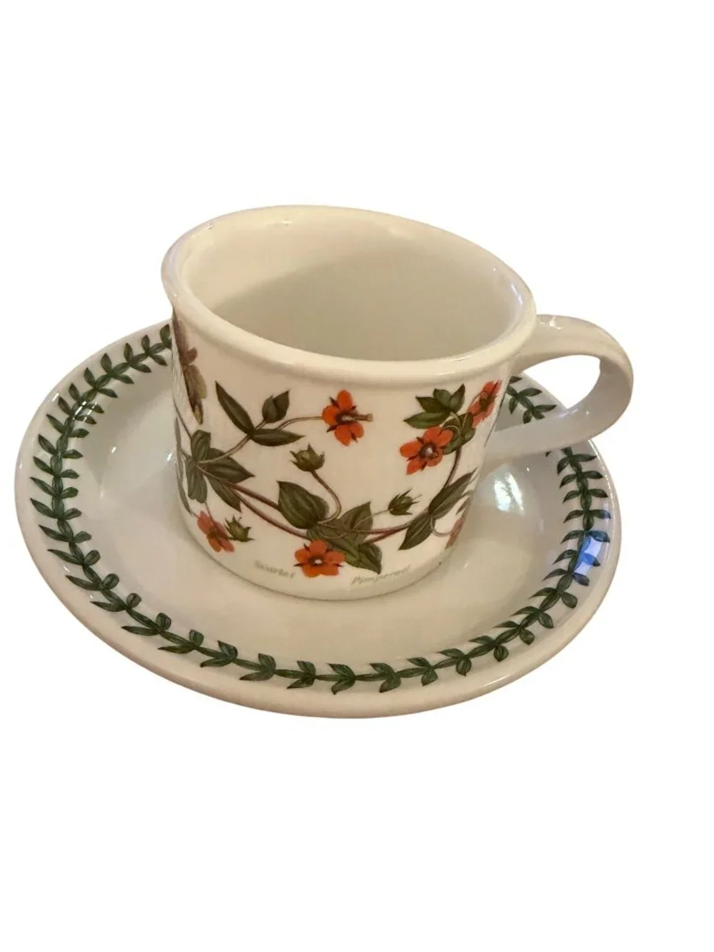 Portmeirion Botanic Garden Set of 2 Ceramic Drum Teacup and Saucer Multicolor